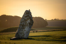 Ancient Stone At Stonehenge Historical Site With Bird Perched On The Rock During Beautiful Colourful Sunrise