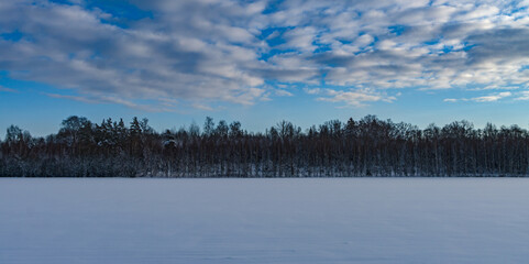 Wall Mural - landscape view of blue cloudy sky forest and snowy field.