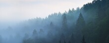 Breathtaking Panoramic Aerial View Of The Evergreen Pine Tree Forest And River In A Clouds Of Morning Fog. Fairy Autumn Landscape. Gauja National Park, Sigulda, Latvia. Nature, Seasons