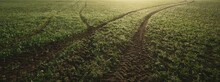 Green Plowed Agricultural Field, Tractor Tracks, Close-up. Picturesque Panoramic Landscape. Rural Scene. Natural Pattern, Texture, Background