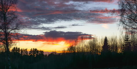 Wall Mural - a stunning range of colors in the sunset sky and clouds above the forest. vanilla sky.