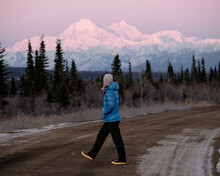 Adventure Girl Walking On The Road In Alaska With Denali Mount McKinley National Park In Background During Sunrise With Pink Sky And Alpenglow On Mountain Peak