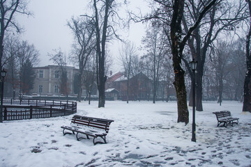 Sticker - Winter in the City Park in Bistrita, Romania, 2021, December 