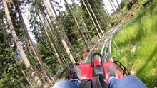 Person Rides In Fast Rodelbahn Sledding In Mountains In Woods Among Trees
