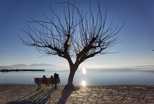 Sea Sky Deep Blue In Winter Sunny Day Bench Chairs By The Beach Tree In Menidi  Near To Arta City Greece