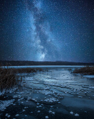 Wall Mural - a beautiful night sky, milky way, star trails and the trees