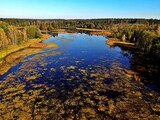 Fototapeta Zachód słońca - View from the drone on Lake Komosa on a sunny day among the forests of Podlasie.