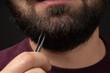 Macro of bearded man painfully pulling out gray hair from thick black beard with tweezers. Men hair and skin care
