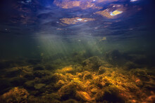 Sun Rays Under Water Landscape, Seascape Fresh Water River Diving