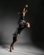 doberman jumping for a ball, dog portrait