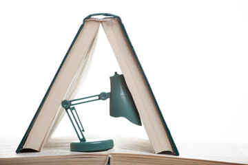 Wall Mural - image of book miniature lamp