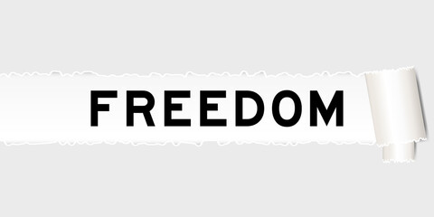 Sticker -  Ripped gray paper background that have word freedom under torn part