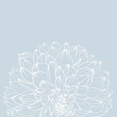 White dahlia flower in graphics , sketch vector graphic isolated illustration on blue background, for notebook, sketchbook, postcards, posters, greeting card 