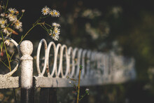White Painted Metal Fence In Graveyard, White Flowers Inside Fence, Abandoned Old Cemetery
