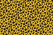 Leopard Fur Pattern Design, Pardus And Panthera Illustration Background.