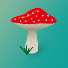Mushroom Fly Agaric