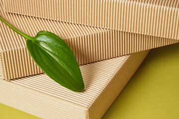 corrugated cardboard boxes and green fresh sheet on green background