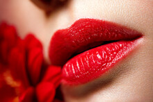 Sexy Full Female Lips With Red Lipstick On The Background Of A Flower. Aesthetic Medicine Services Lip Shape Correction, Lip Augmentation.