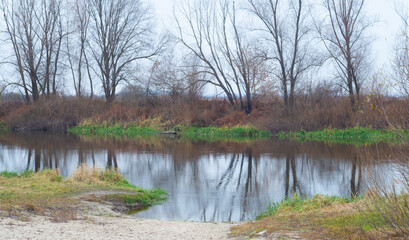 Wall Mural - Autumn landscape beautiful colored trees over the river