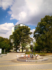 Wall Mural - Der Brunnen im Stadtpark
