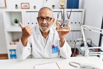 Wall Mural - Mature doctor man holding model of human anatomical skin and hair smiling happy and positive, thumb up doing excellent and approval sign