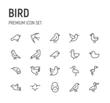 Set Of Bird Line Icons.