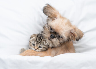  Friendly Brussels Griffon puppy embraces tiny tabby fold kitten under white warm blanket on a bed at home. Top down view
