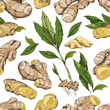 Seamless repeatable pattern with ginger plant, hand drawn vector illustration.