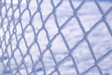 Background, The Netting Is Covered With Frost And Snow On A Frosty Winter Day.