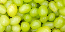 Green Grapes Grape Fruits Fruit Background From Above Panorama