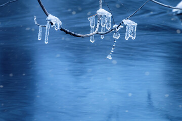 Wall Mural - Icicles on a tree branch. Ice icicles hang above the surface of the water