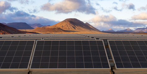 Wall Mural - huge photovoltaic farm in the desert