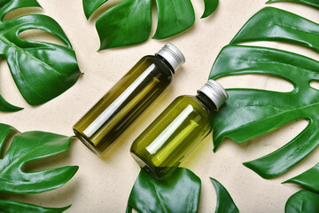 Wall Mural - Natural skincare beauty product, Cosmetic bottle containers packaging with green nature leaves, Blank label for organic spa branding mock-up,Herbal healthy skin care.