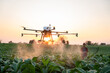 Asian farmers fly drones to spray hormonal fertilizers in tobacco fields, Drone of agricultural technology concept