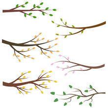 Set Of Tree Branches With Green, Yellow And Orange Leaves For Design Element