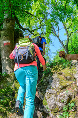 Sticker - Waldwanderung mit Kletterpassagen an einem sonnigen Frühlingstag