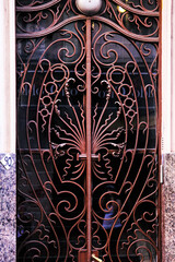 Wall Mural - Wrought iron door detail