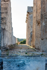 Poster - Ruiny starożytnej greckiej świątyni poświęconej bogini Afai, Grecja, Aegina