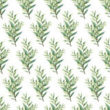 Fototapeta Sypialnia - Watercolor greenery seamless pattern, floral texture on white background
