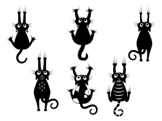 Wall Mural - Set of black cats scratching the wall. Collection of silhouettes of funny kitten climbing the wall. Set of peeking cat. Vector illustration of a pet for kids. Tattoo.