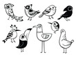 Set of different exotic birds. Collection of forest bird crow, bullfinch, sparrow, woodpecker, pigeon etc. Vector illustration of animal different poses isolated on white background.