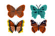 butterflies and insects collection vector illustration