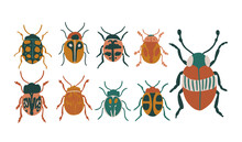 Bugs And Insects Vector Illustration