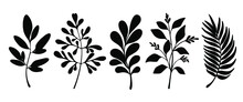 Set Of Leaves Silhouette Of Beautiful Plants, Leaves, Plant Design. Vector Illustration .