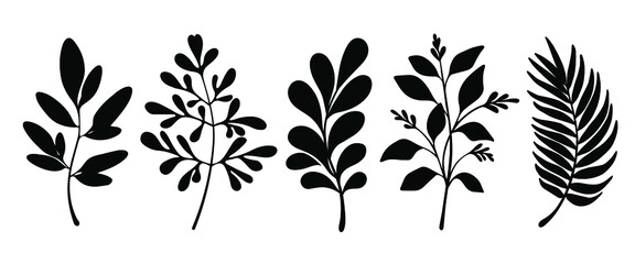 Set of leaves silhouette of beautiful plants, leaves, plant design. Vector illustration .