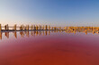Salt on a pink salt lake at sunset. Pink Salt Lake Torrevieja.