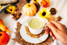 Woman Hand With Rings Holding A Cup Of Lemon Tea Surrounded By Sunflowers, Pumpkins, Leaves, Acorns, Pine Cones