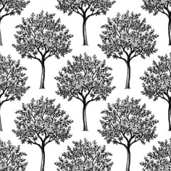 Wall Mural - cherry tree seamless pattern.