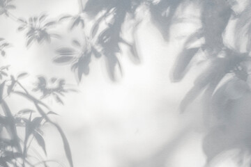Aufkleber - Shadow and sunshine of leaves reflection. Jungle gray darkness shade and lighting on concrete wall, shadows overlay effect, mockup and design