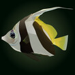 manfish fish vector